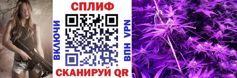 ОМГ ОМГ зеркало  что такое наркотик  Красный Холм  Каннабис THC 21% 
